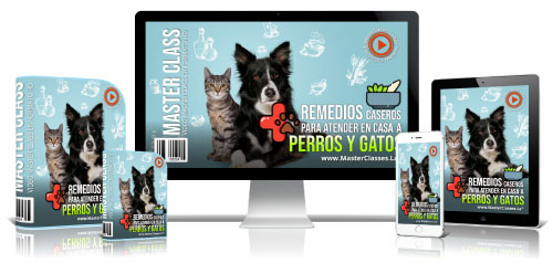 500remedios-caseros-para-atender-en-casa-a-perros-y-gatos